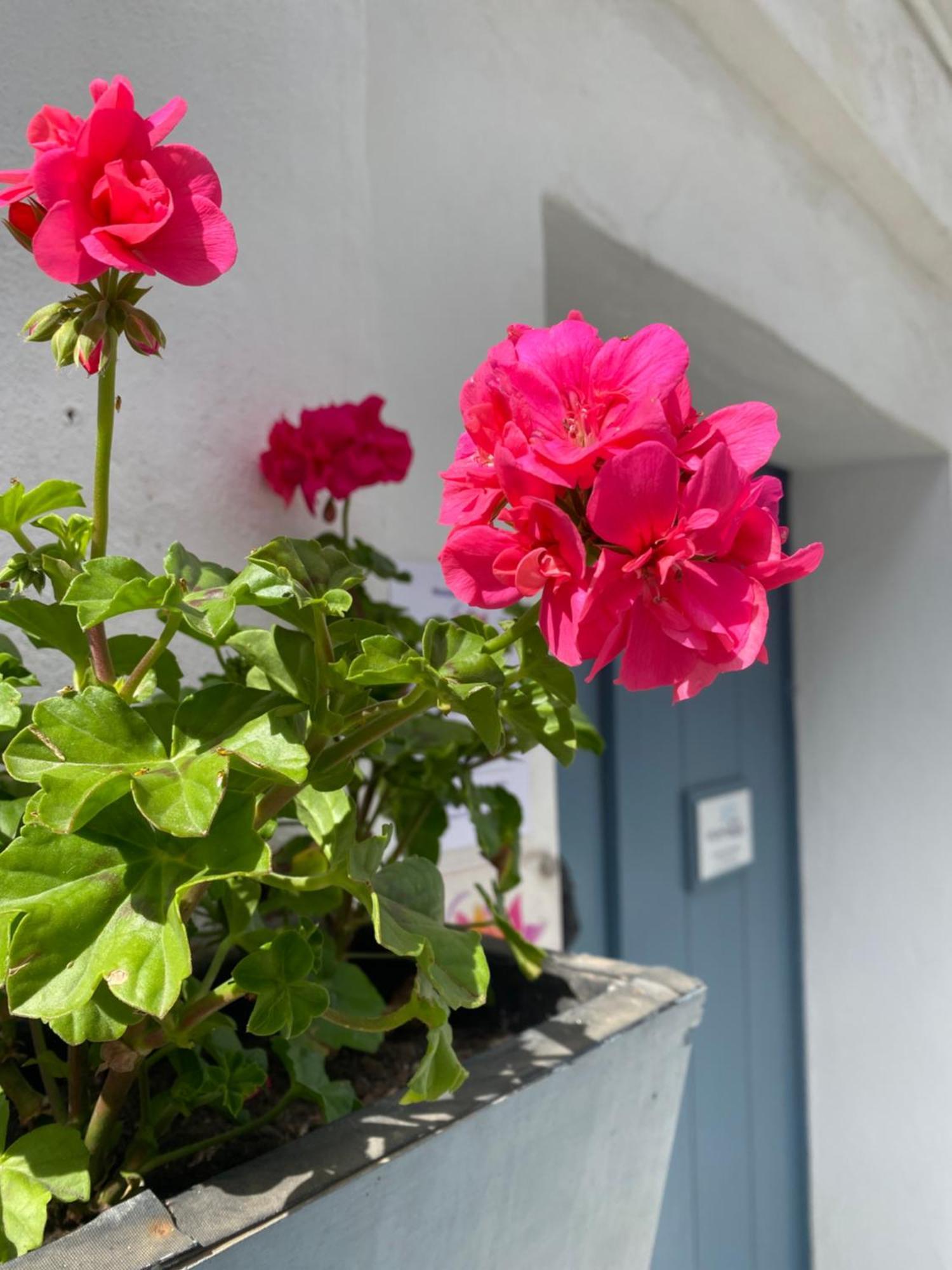 Hotel Victoria Seis Medina-Sidonia Exteriér fotografie